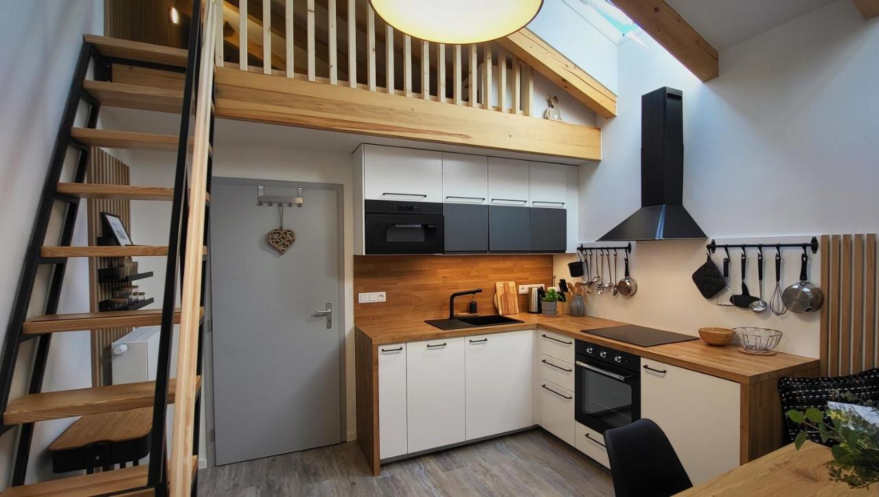 Loft Rezidence Vista Apartment Rokytnice nad Jizerou Ngoại thất bức ảnh